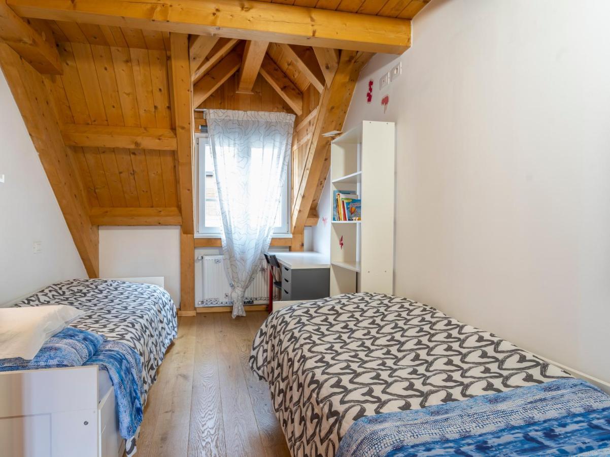 דירות Halte Rothe Haus Tarvisio Charming Flat מראה חיצוני תמונה